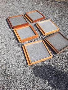 bees