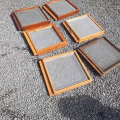 bees