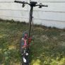 scooters Image 3