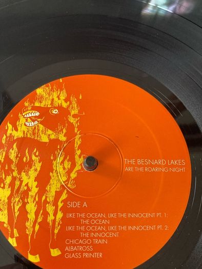 The Besnard Lakes - The Besnard Lakes Are The Roaring Night