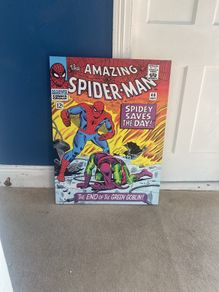 spiderman canvas