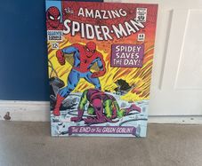 spiderman canvas