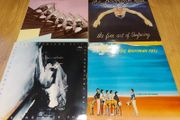 Collection Of Irish Rock/pop/trad Vinyl Records - From 10 Euro