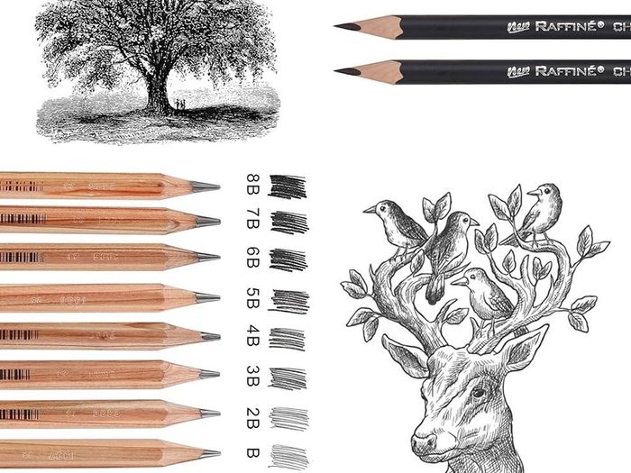 Drawing Pencils Set Sketching Pencils Sketch Kit Art Supplies with Graphite Charcoal Pencil Extender Blending Stumps in Roll up Case for Artists Kids Adults Beginners 29 Pack