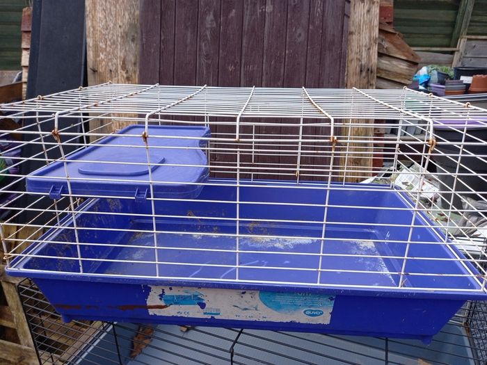 rabbit guinea-pig cage medium