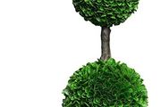 Designs 1.2m (122cm) Artificial Boxwood Topiary Ball Tree, Front Porch Home Decor, Faux Fake Plant Decoration (FREE POSTAGE)