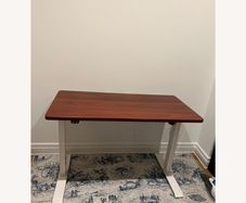Standing Desk Flexispot with Oval Legs E8
