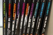 Minecraft Books