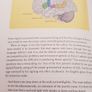 Best of the Brain from Scientific American: Mind, Matter, and Tomorrow's Brain, Floyd E. Bloom Image 8