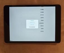 iPad mini 2