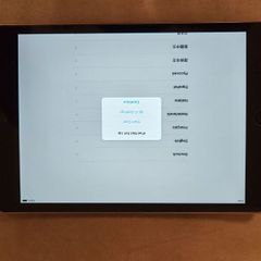 iPad mini 2