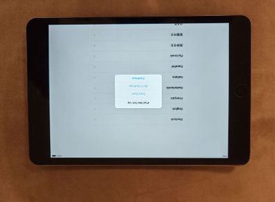 iPad mini 2