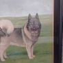 Antique R.A.V Hamilton Norwegian elkhounds oil painting signed kennel club very collectible Image 6