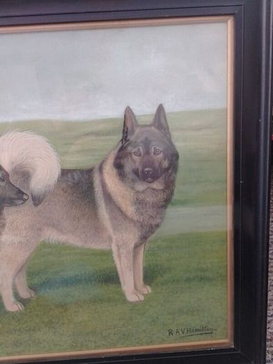 Antique R.A.V Hamilton Norwegian elkhounds oil painting signed kennel club very collectible