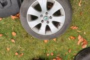 alloy