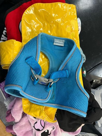 Pet clothing and nappies