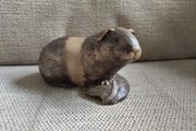 Vintage Poole pottery guinea pig