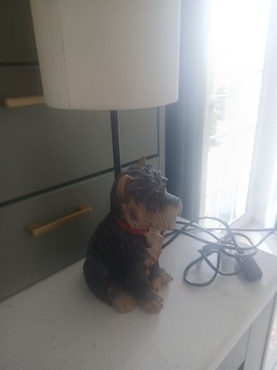 doggy lamp