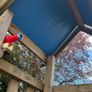 Jungle Gym Image 2