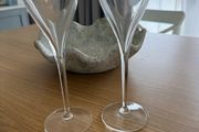 Elegant Champagne Flutes Glasses Set of 2