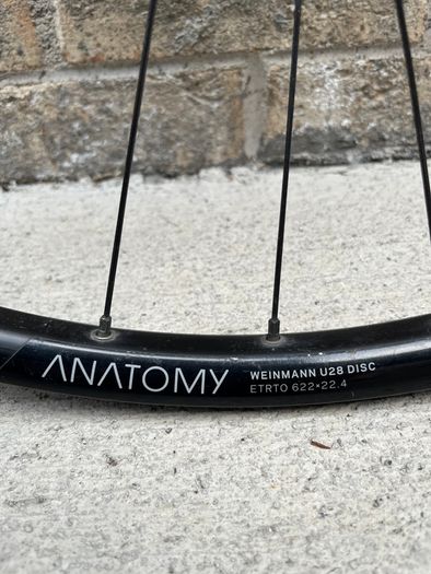 Premium SONdelux Dynamo Front Wheel (700c / Disc / 12mm Thru-Axle)