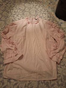 Pale Pink Ladies Blouse