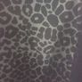 Coast animal print dress (free post) Image 10