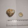 Flint nodule Image 3