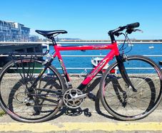 Paganini Hybrid Bike