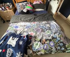 Free double bed and mattress
