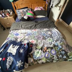 Free double bed and mattress