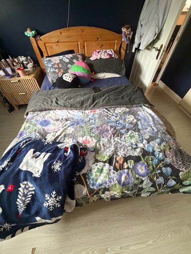 Free double bed and mattress
