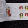 Ireland Mint Stamps : The Wild Geese , Prestige Stamp Booklet - 1995 Image 2