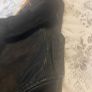 All saints leather jacket Image 5