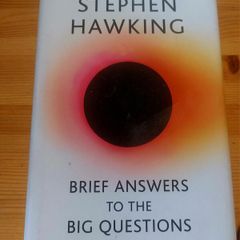 Brief answers to the big questions.  Stephen Hawkin
