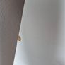 ikea wardrobe white Image 7
