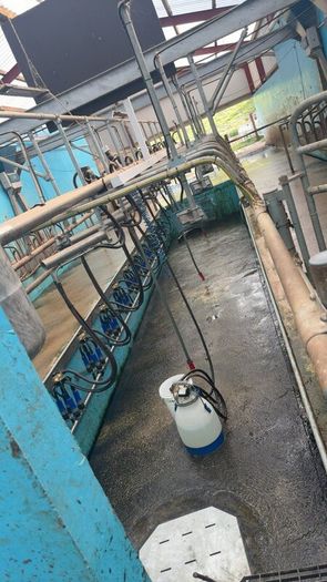 Relief milking available
