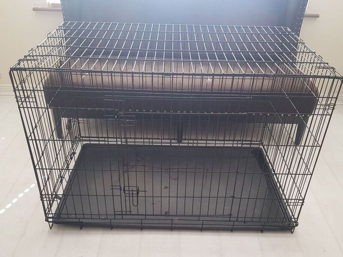 Dog Crate