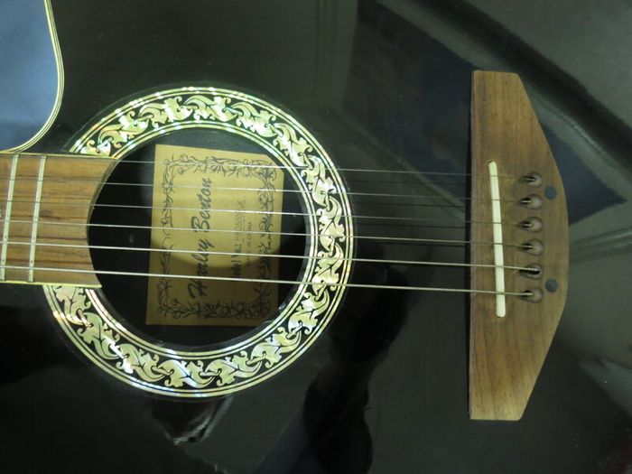 Guitar Harley Benton HBO 500 BLK