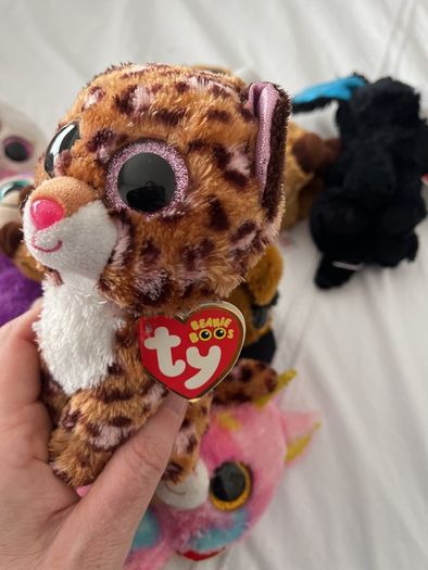 beanie boo with tags