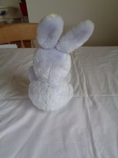 Cuddly Bunny Rabbit for Sale