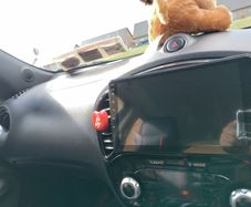 Nissan Juke 2013