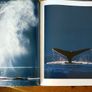 Alaska Coffee Table Book Image 2