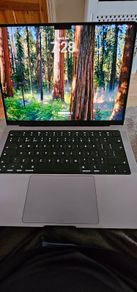 Apple MacBook Pro 14" M1 Pro 32GB + 2x 4k Monitors + 2x Logitech MX Keys and MX Master mouse.