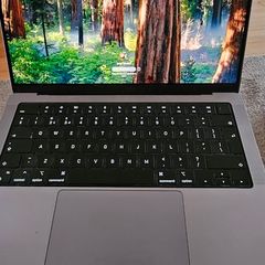 Apple MacBook Pro 14" M1 Pro 32GB + 2x 4k Monitors + 2x Logitech MX Keys and MX Master mouse.
