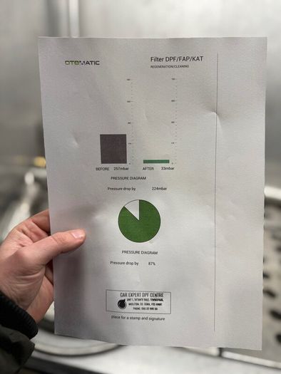Professional DPF cleaning