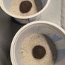 Aquarium Clay-peat balls Image 4