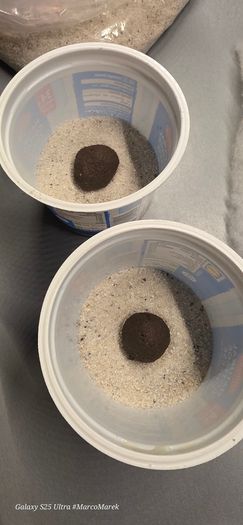 Aquarium Clay-peat balls 20 pieces