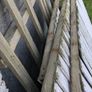 Free Wood Image 3