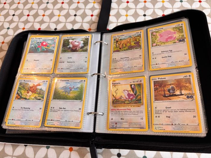 Pokemon folder and cards